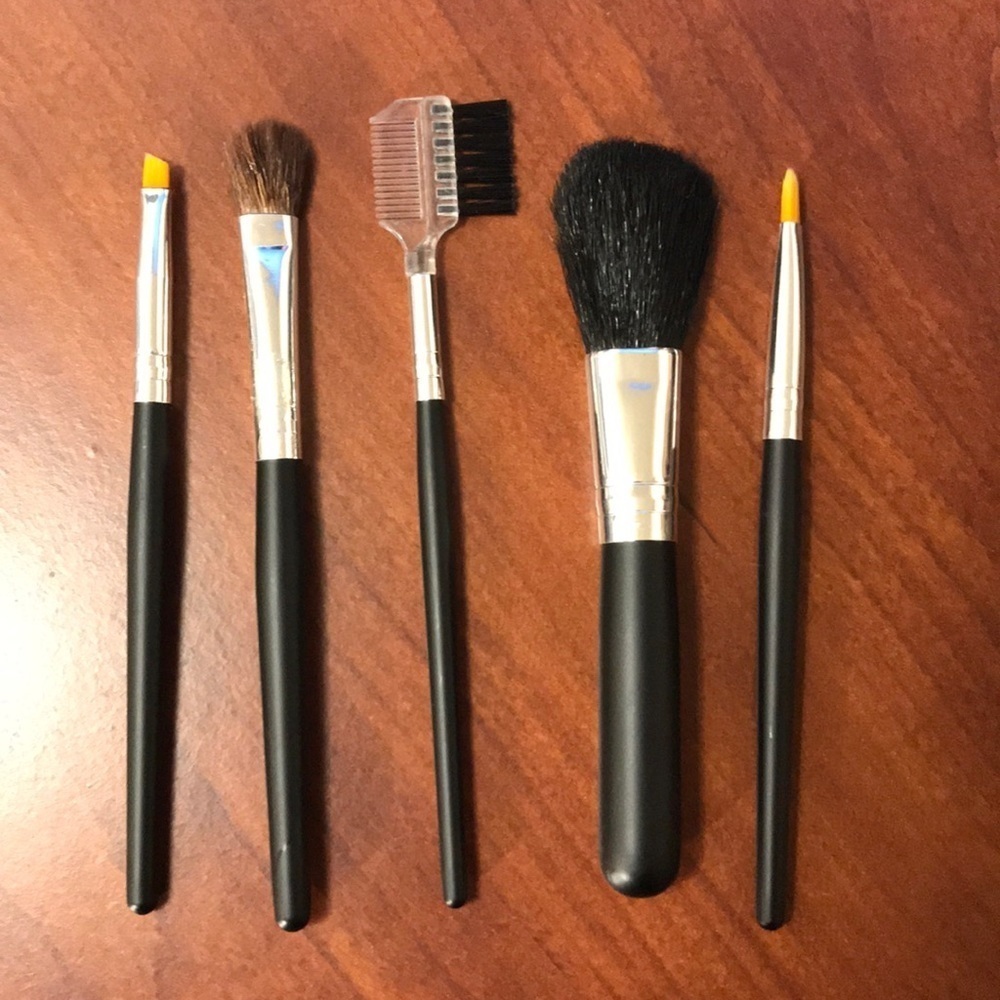 5 Piece Travel Set of Makeup Brushes